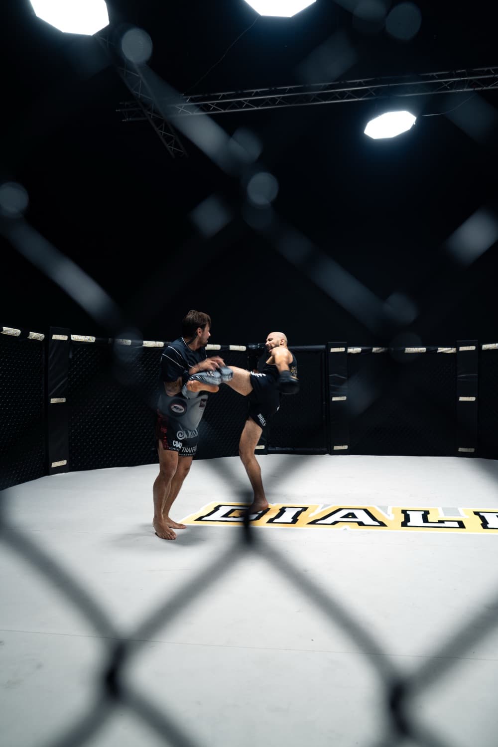 Knee strike during cage training